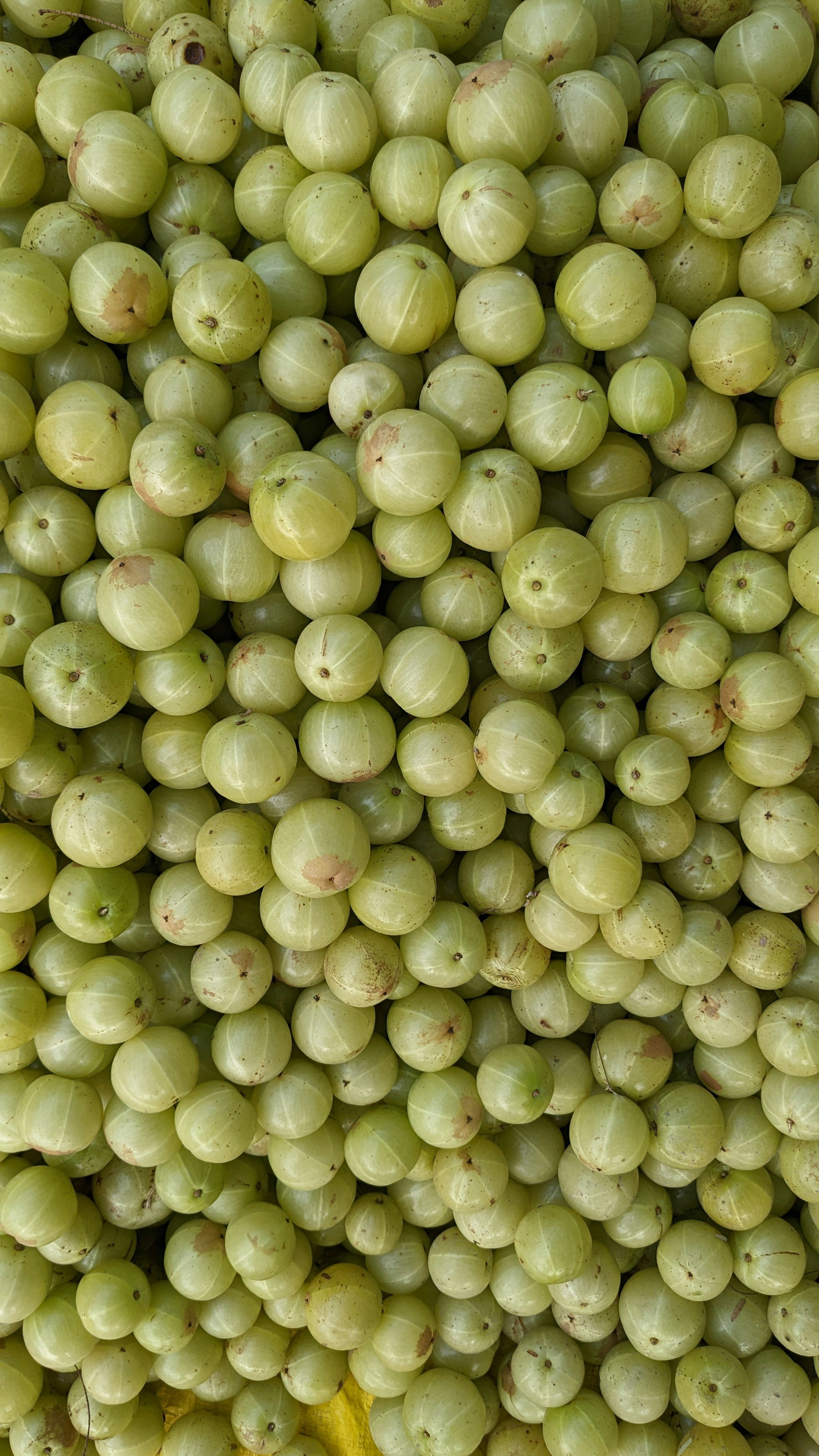 Close-up of a pile of green gooseberries/ amla