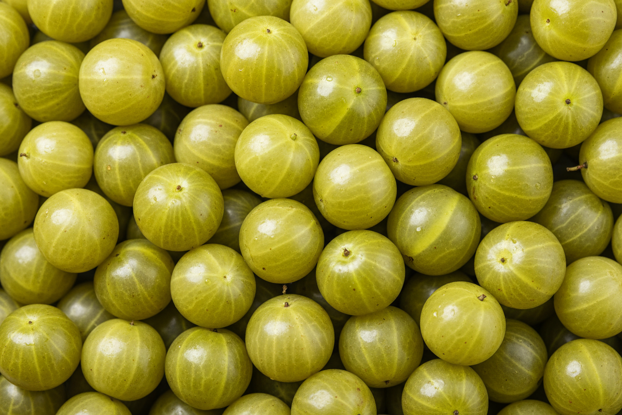 tons of hyper realistic amla (gooseberry) in the background all over the screen with no space